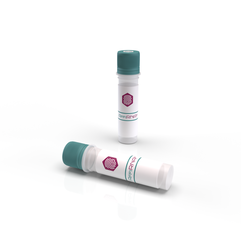 AffiRNA®​ Total RNA - Human Tumor Tissue: Lung